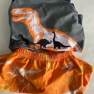Kids Dinosaur Rash Guard & Swim Shorts Set